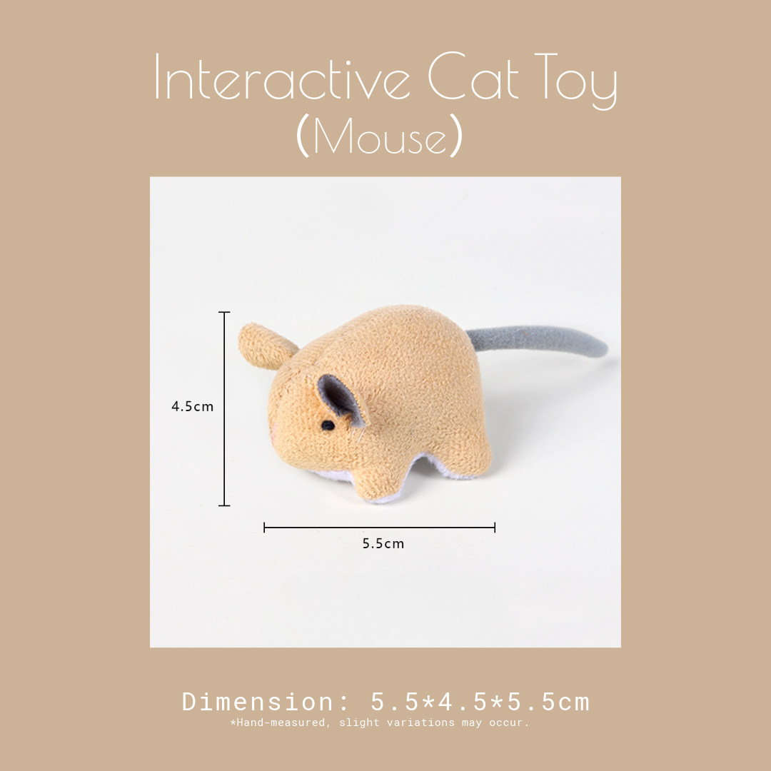 Paper Park | Interactive Cat Toy