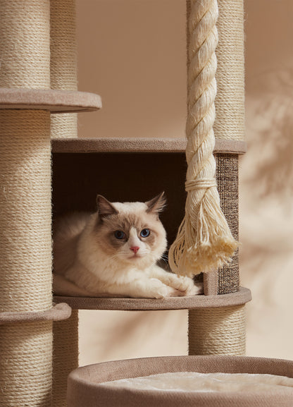 Sopapets | Forest Climb Cat Tree