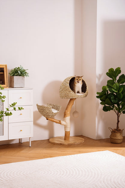 Sopapets | Timber Bliss Model A Cat Tree