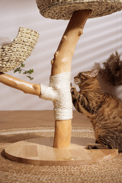 Sopapets | Timber Bliss Model A Cat Tree