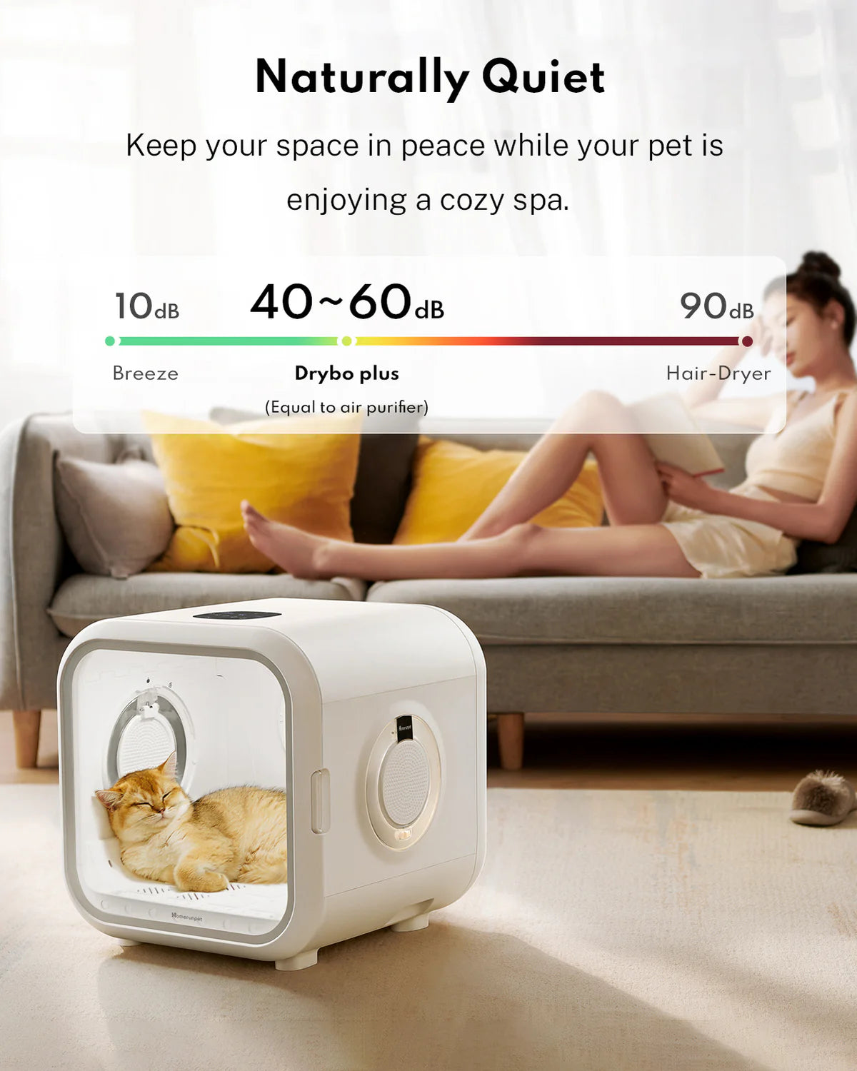 Homerunpet | Drybo Plus Smart Pet Dryer